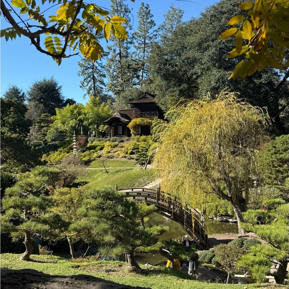 Meet your Posher, Yuviza